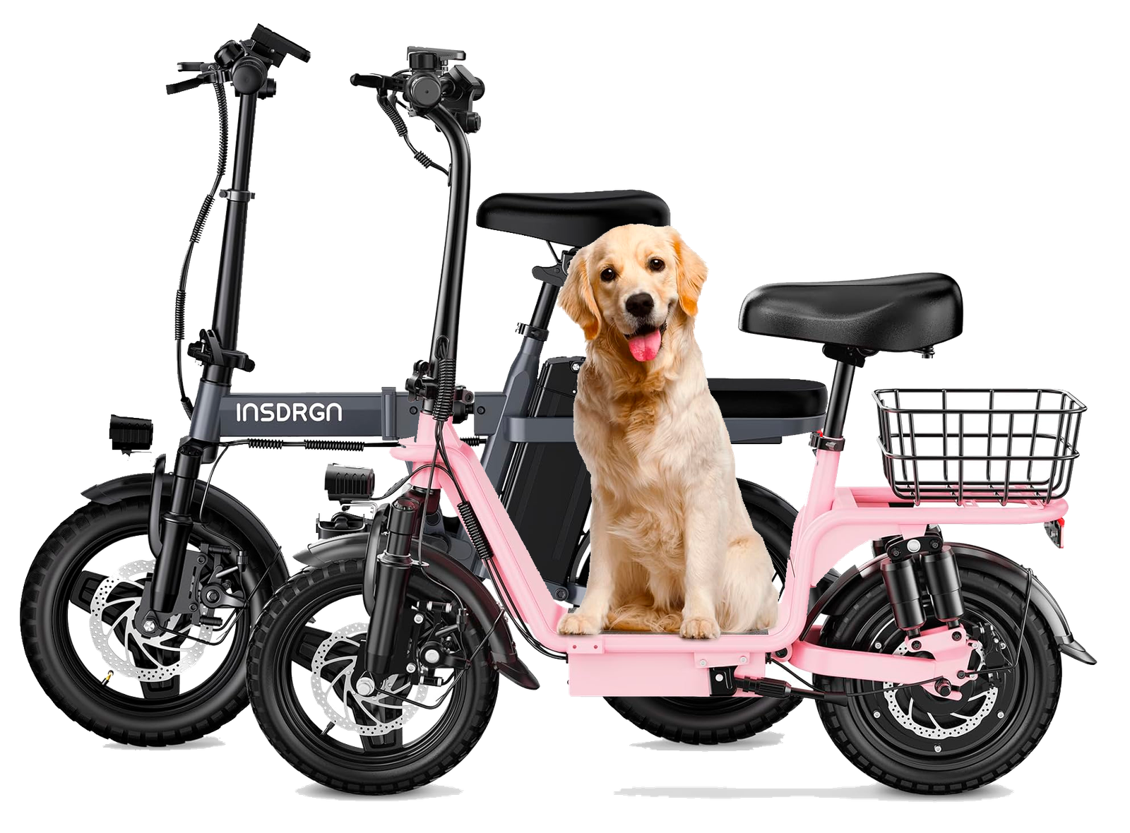 insdrgn electric scooter