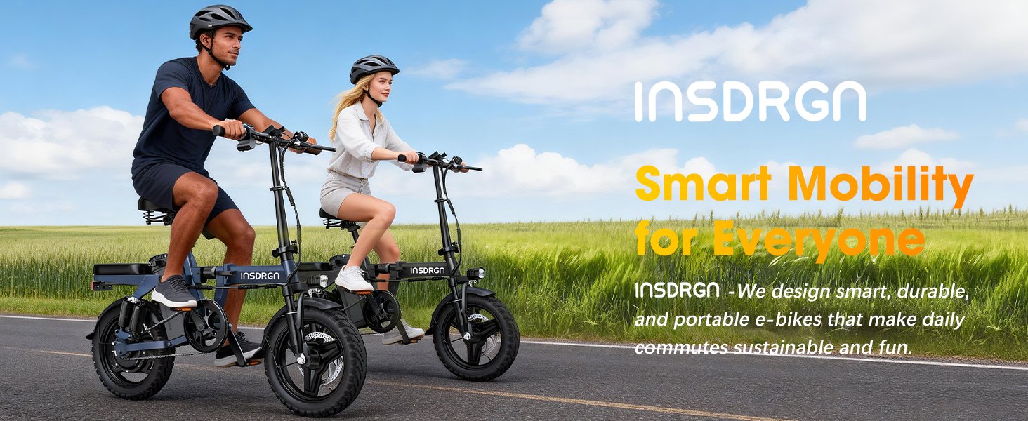 INSDRGN C14 electric scooter website